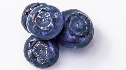 Blaubeeren vor weißem Hintergrund
