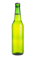 Beer on a white background