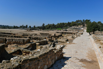 Zippori NP, Galilee, Israel