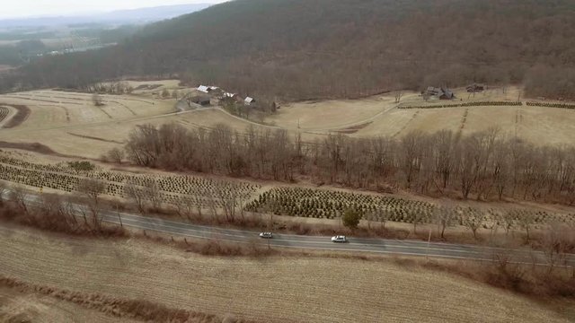 Cars drving by tree farm