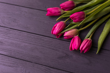 Pink tulips on the black background. Flat lay, top view. purple easter tulips arrangement with space for text