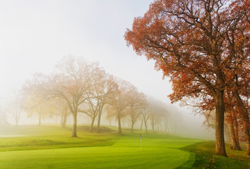 Misty autumn morning. October morning mist. Fog over golf course during beautiful fall sunrise. Silhouettes of autumn trees on a background, bright green lawn and colorful tree on a foreground. 