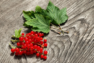 Red currant berries