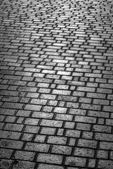 The area paved with stone.