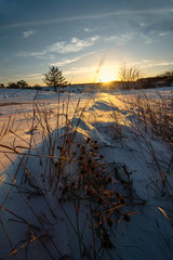 Snow-covered steppe in the rays of sunset winter sun