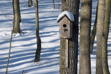 birdhouse in the winter forest