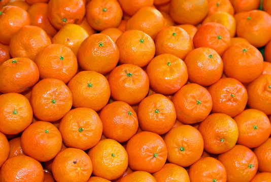Organic mandarins and orange clementines with peel untreated wit