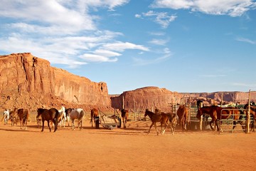 Horse herd in the Monument Valley in the western part of the USA
