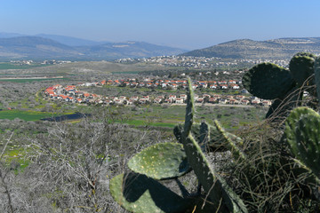 Cactus in NP Zippori, Galilee, Israel