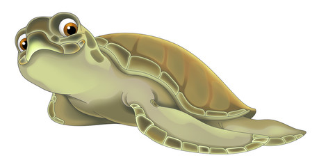 cartoon happy turtle  - cartoon style with animals