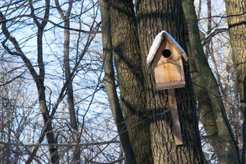 birdhouse in the winter forest
