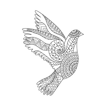 Hand drawn flying dove for adult anti stress colouring page.