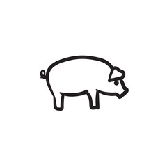Pig sketch icon.