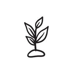 Sprout sketch icon.