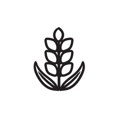 Wheat sketch icon.