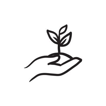 hand holding sprout sketch clip art preview