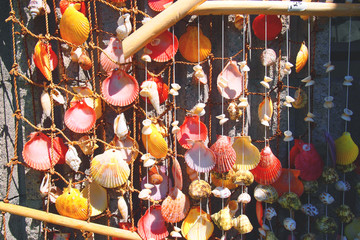 colourful beach village seashells wind chime