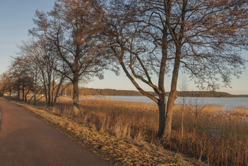 Evening walk by the lake in winter