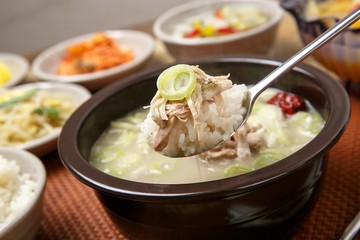 boiled chicken soup. dak gomtang.