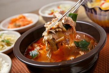 dakgaejang. Spicy Chicken Soup.