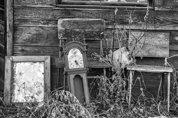 An old grandfathers' clock, mirror, and old chairs abandoned outdoors in tall weeds in black and white