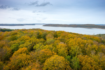 Herbstwald, R&uuml;gen, Buchen, Wald