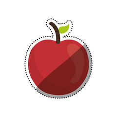 Delicious apple fruit icon vector illustration graphic design