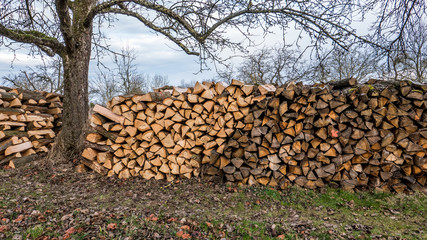 Brennholzlager © focus finder