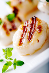 Grilled scallops with thyme leafs