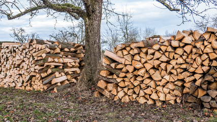 Brennholzlager © focus finder