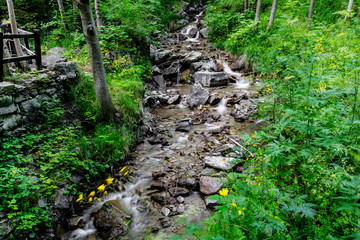 Usseaux landscape creek