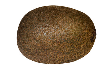 Juicy kiwi fruit closeup isolated on white background