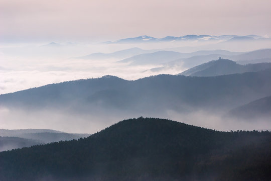 Fototapeta Crêtes d'Alsace dans la brume