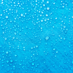 dew droplets on tents surface