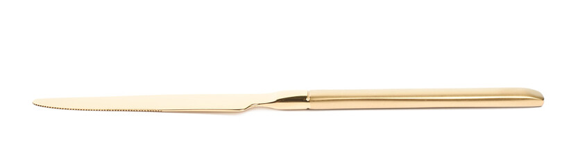 Metal dinner knife isolated