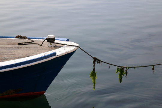 Small traditional fishing boat in a port. Detail of a nautical rope with seaweed. Selective focus. 