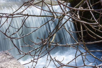La cascata del fiume Clanio tra i rami del fico nelle montagne in regione Campania, Italia