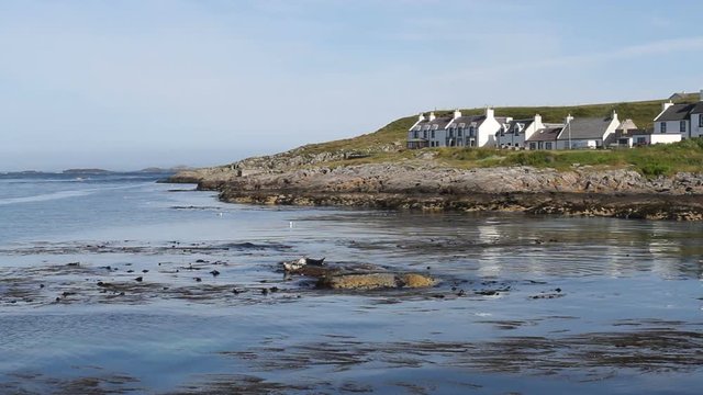Seals and Portnahaven waterfront Isle of Islay Scotland