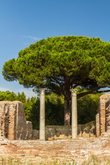 Roman pillars at Ostia Antica Italy with Stone pine or Pinus pinea.