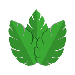 green leaves nature plant icon vector illustration