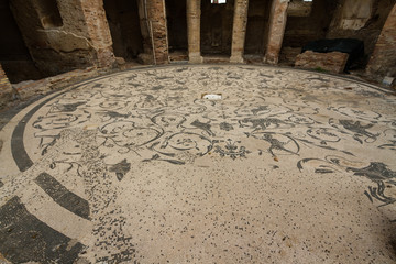 Roman mosaic floor at Ostia Antica Italy