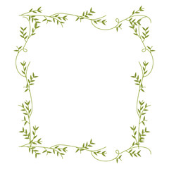 frame with green creepers nature design vector illustration