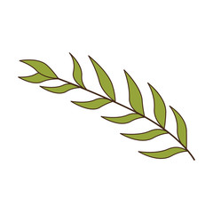 green oval leaves with ramifications vector illustration