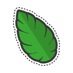 sticker green leaf nature plant icon vector illustration