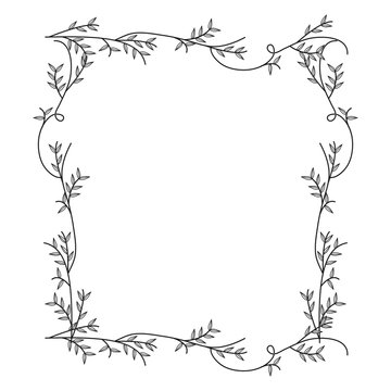 frame with silhouette creepers nature design vector illustration