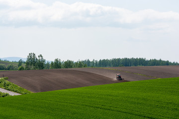 Fototapeta na wymiar 春の畑と農作業