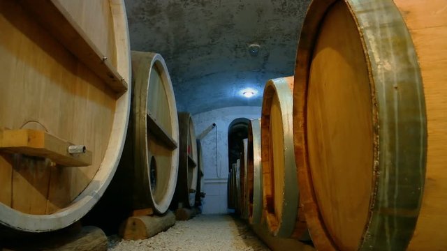 Wine Barrels in Cellar of the Winery
