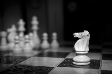 Scacchi fotografati su una scacchiera