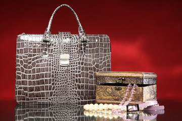 Set of female things. Bag and ornaments to them.