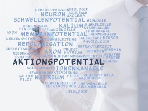 Aktionspotential